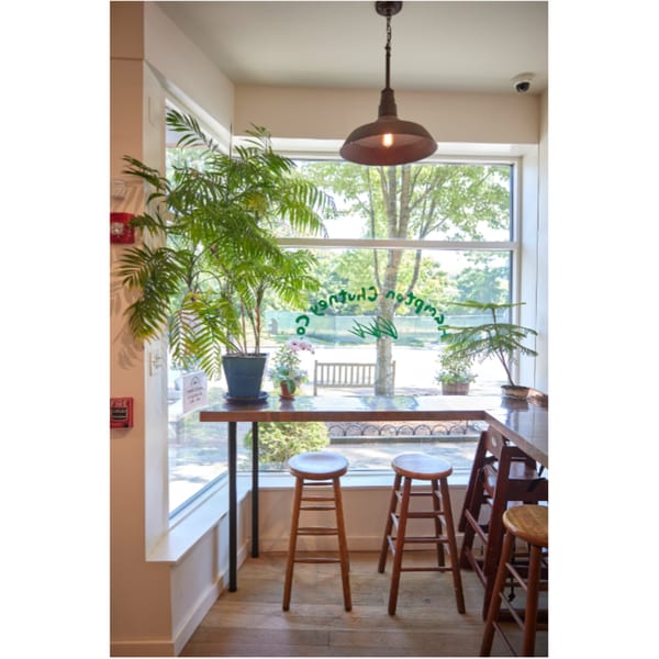 Hampton Chutney Co. interior with window seating, bar stools, and potted plants.